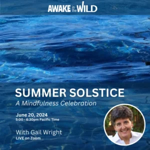 summer solstice 2024