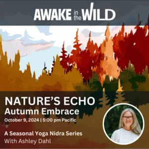 yoga nidra