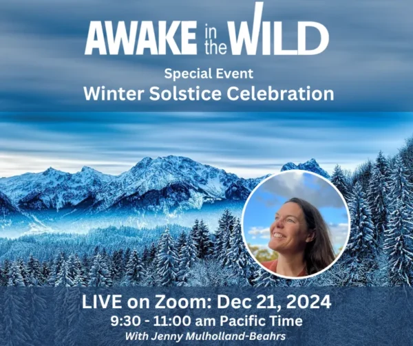 Winter Solstice 2024